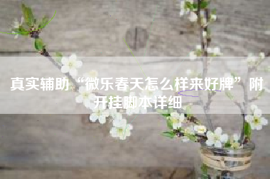 真实辅助“微乐春天怎么样来好牌	”附开挂脚本详细