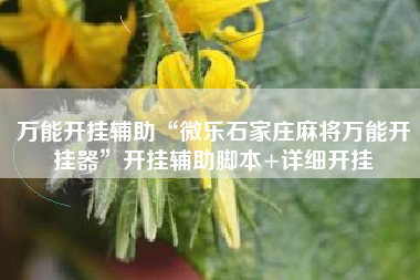 万能开挂辅助“微乐石家庄麻将万能开挂器	”开挂辅助脚本+详细开挂