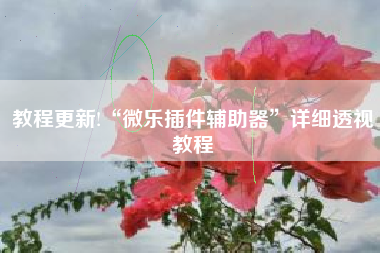 教程更新!“微乐插件辅助器	”详细透视教程
