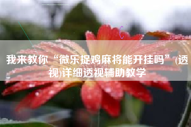 我来教你“微乐捉鸡麻将能开挂吗”(透视)详细透视辅助教学