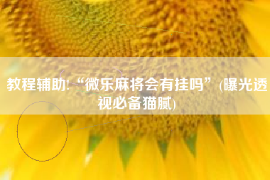 教程辅助!“微乐麻将会有挂吗	”(曝光透视必备猫腻)