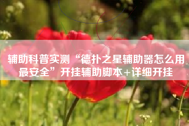 辅助科普实测“德扑之星辅助器怎么用最安全”开挂辅助脚本+详细开挂