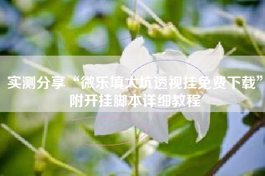 实测分享“微乐填大坑透视挂免费下载”附开挂脚本详细教程