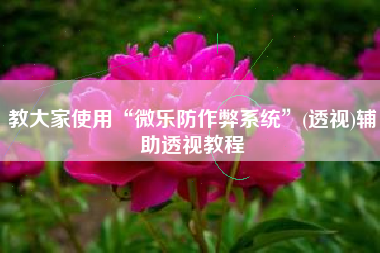 教大家使用“微乐防作弊系统”(透视)辅助透视教程