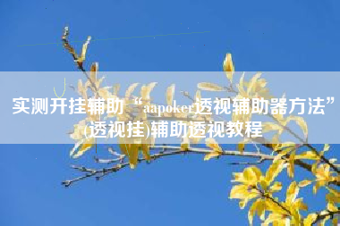 实测开挂辅助“aapoker透视辅助器方法”(透视挂)辅助透视教程