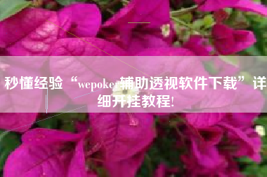 秒懂经验“wepoker辅助透视软件下载	”详细开挂教程!