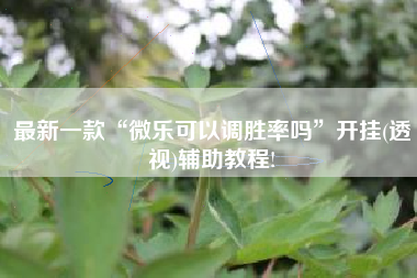 最新一款“微乐可以调胜率吗”开挂(透视)辅助教程!