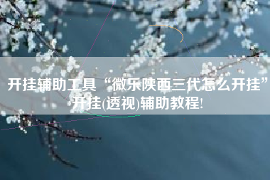 开挂辅助工具“微乐陕西三代怎么开挂”开挂(透视)辅助教程!