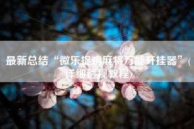 最新总结“微乐捉鸡麻将万能开挂器”(详细透视教程)