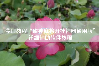 今日教程“雀神麻将开挂神器通用版”详细辅助软件教程