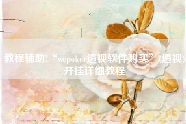 教程辅助!“wepoker透视软件购买”(透视)开挂详细教程