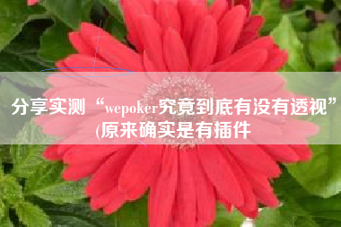 分享实测“wepoker究竟到底有没有透视”(原来确实是有插件
