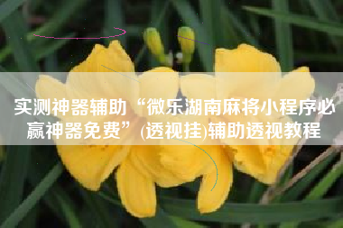 实测神器辅助“微乐湖南麻将小程序必赢神器免费”(透视挂)辅助透视教程