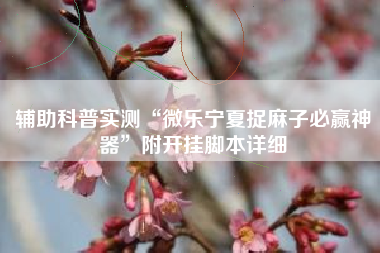 辅助科普实测“微乐宁夏捉麻子必赢神器	”附开挂脚本详细