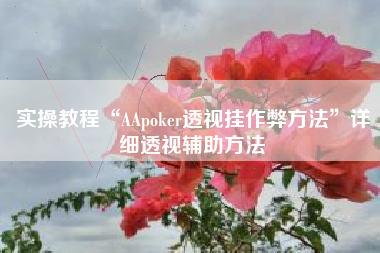 实操教程“AApoker透视挂作弊方法”详细透视辅助方法