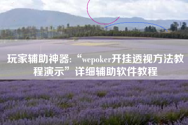 玩家辅助神器:“wepoker开挂透视方法教程演示”详细辅助软件教程