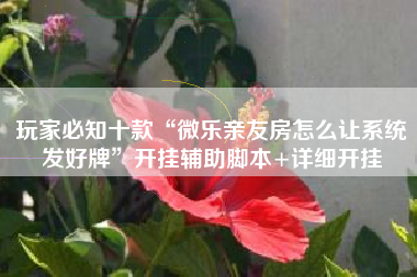 玩家必知十款“微乐亲友房怎么让系统发好牌	”开挂辅助脚本+详细开挂