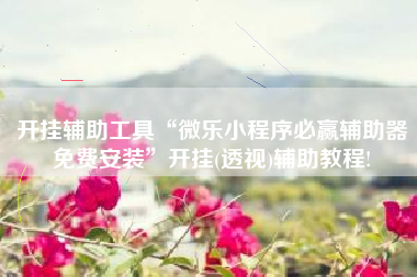 开挂辅助工具“微乐小程序必赢辅助器免费安装”开挂(透视)辅助教程!