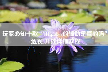 玩家必知十款“HHpoker的辅助是真的吗”(透视)开挂详细教程