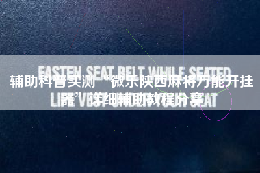 辅助科普实测“微乐陕西麻将万能开挂器	”详细辅助教程分享