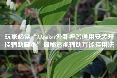 玩家必读“AApoker外卦神器通用安装开挂辅助脚本”揭秘透视辅助万能挂用法
