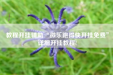 教程开挂辅助“微乐跑得快开挂免费”详细开挂教程!