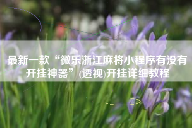 最新一款“微乐浙江麻将小程序有没有开挂神器”(透视)开挂详细教程