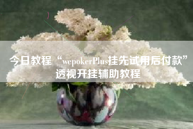今日教程“wepokerPlus挂先试用后付款”透视开挂辅助教程