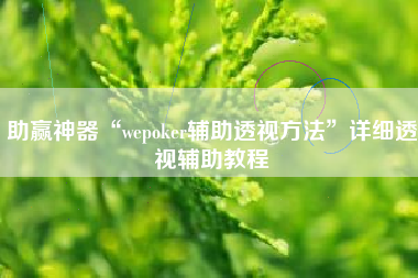 助赢神器“wepoker辅助透视方法”详细透视辅助教程