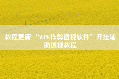 教程更新!“WPK作弊透视软件	”开挂辅助透视教程