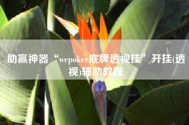 助赢神器“wepoker底牌透视挂”开挂(透视)辅助教程