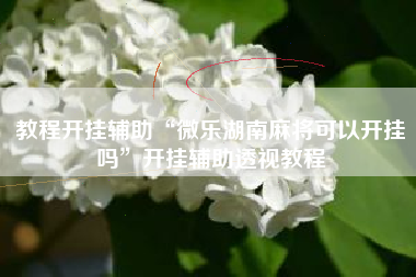 教程开挂辅助“微乐湖南麻将可以开挂吗”开挂辅助透视教程