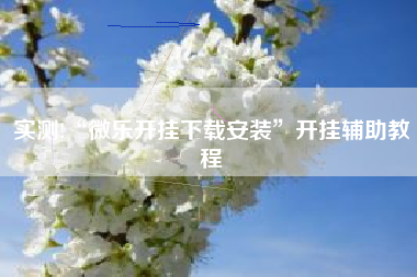 实测!“微乐开挂下载安装	”开挂辅助教程