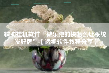 辅助挂机软件“微乐跑的快怎么让系统发好牌”【透视软件教程分享】