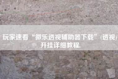 玩家速看“微乐透视辅助器下载	”(透视)开挂详细教程