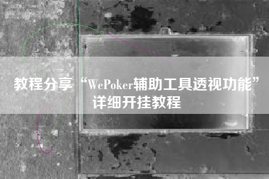 教程分享“WePoker辅助工具透视功能”详细开挂教程