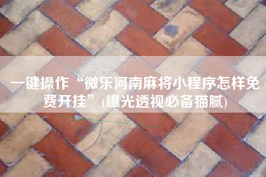 一键操作“微乐河南麻将小程序怎样免费开挂	”(曝光透视必备猫腻)