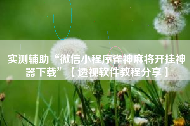 实测辅助“微信小程序雀神麻将开挂神器下载”【透视软件教程分享】