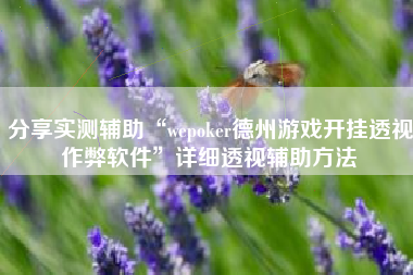 分享实测辅助“wepoker德州游戏开挂透视作弊软件	”详细透视辅助方法