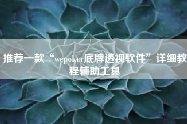 推荐一款“wepoker底牌透视软件”详细教程辅助工具