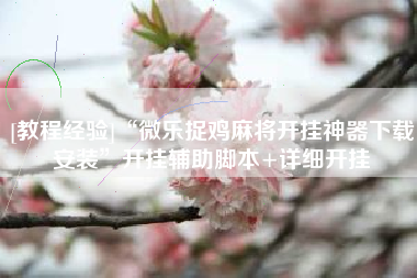 [教程经验]“微乐捉鸡麻将开挂神器下载安装”开挂辅助脚本+详细开挂