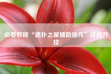 必看教程“德扑之星辅助插件”详细开挂