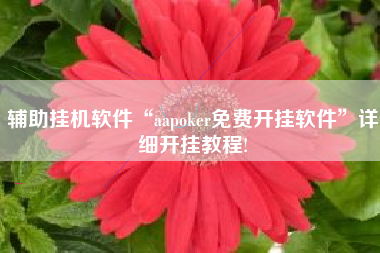 辅助挂机软件“aapoker免费开挂软件	”详细开挂教程!