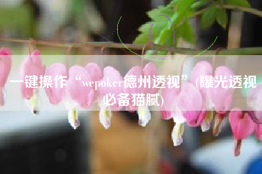 一键操作“wepoker德州透视”(曝光透视必备猫腻)