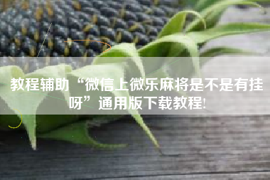 教程辅助“微信上微乐麻将是不是有挂呀”通用版下载教程!