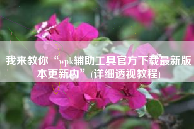 我来教你“wpk辅助工具官方下载最新版本更新内	”(详细透视教程)