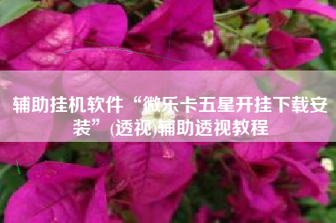 辅助挂机软件“微乐卡五星开挂下载安装”(透视)辅助透视教程