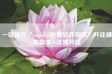 一键操作“wepoker透视软件购买”开挂辅助脚本+详细开挂
