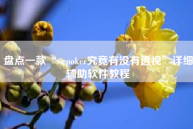 盘点一款“wepoker究竟有没有透视”详细辅助软件教程