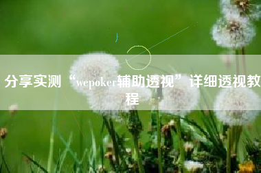 分享实测“wepoker辅助透视	”详细透视教程
